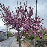 Nyaraló Casa Da Burra *