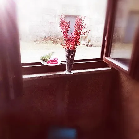 بيت للعطل Casa Da Burra Alijó