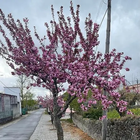 بيت للعطل Casa Da Burra *