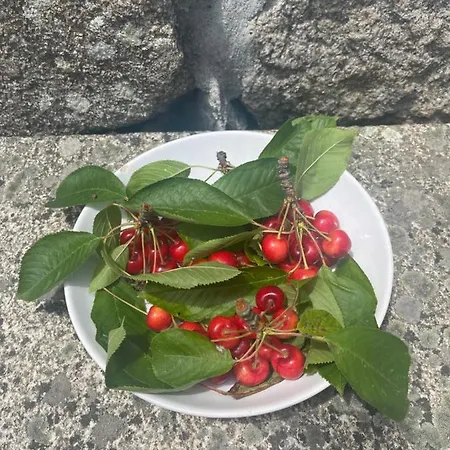 بيت للعطل Casa Da Burra Alijó