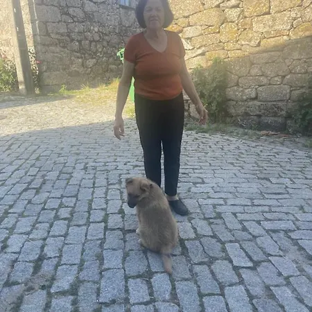 بيت للعطل Casa Da Burra Alijó