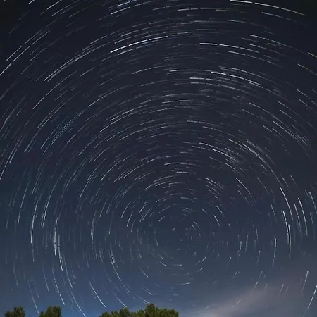 بيت للعطل Casa Da Burra Alijó