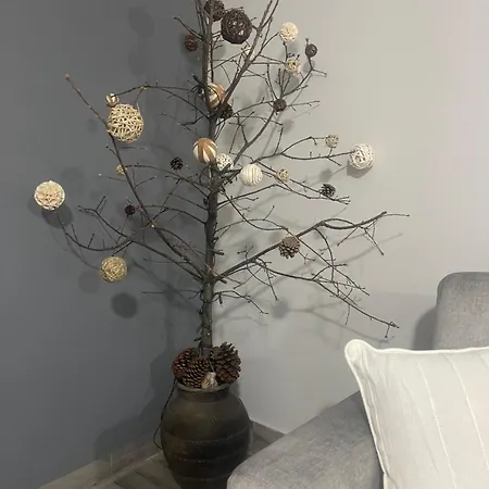 Casa Da Burra * Alijó