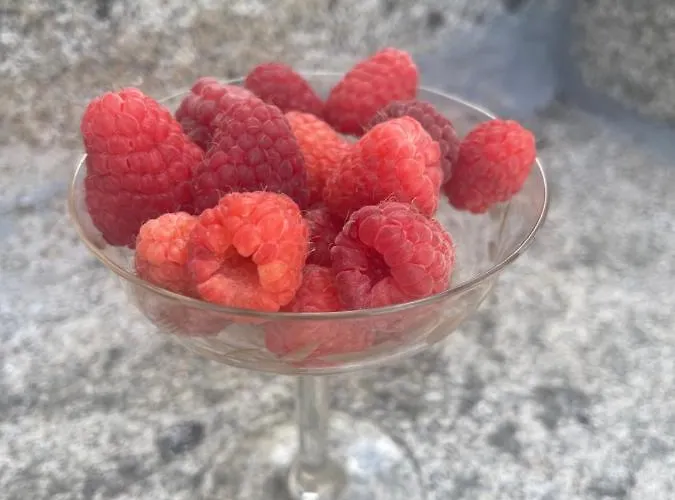 Casa Da Burra Hébergement de vacances Alijó