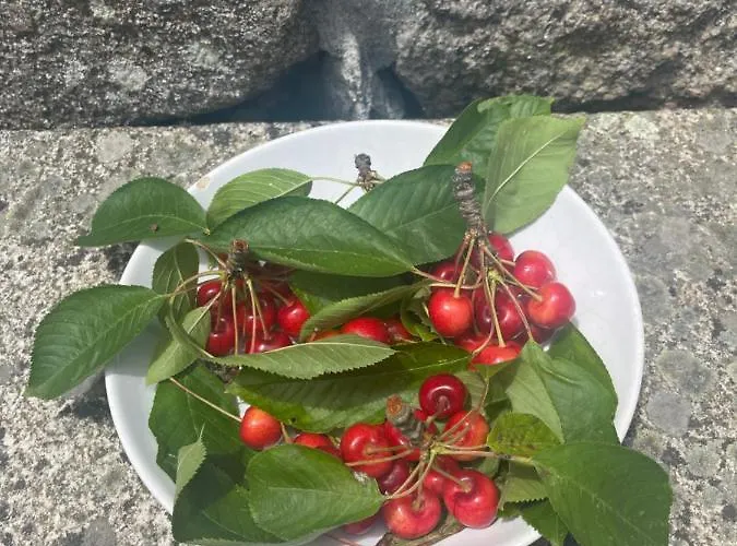 Hébergement de vacances Casa Da Burra Alijó