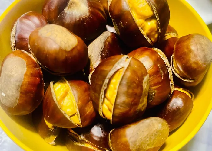 Casa Da Burra Vakantiehuis *