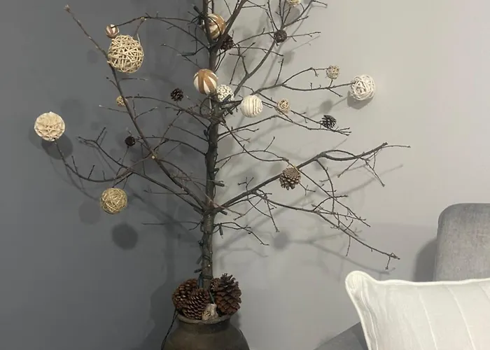 Casa Da Burra * Alijó