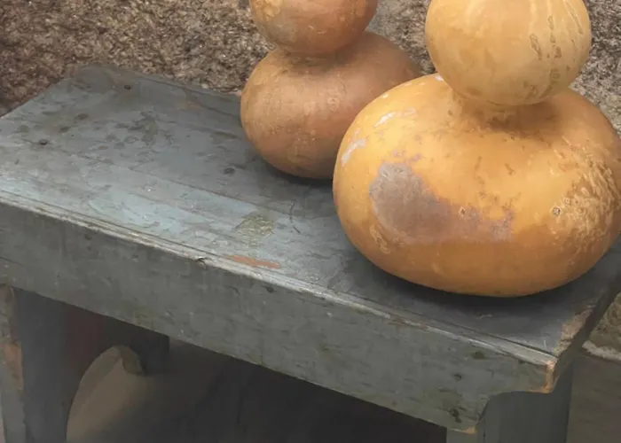 Casa Da Burra * Alijó