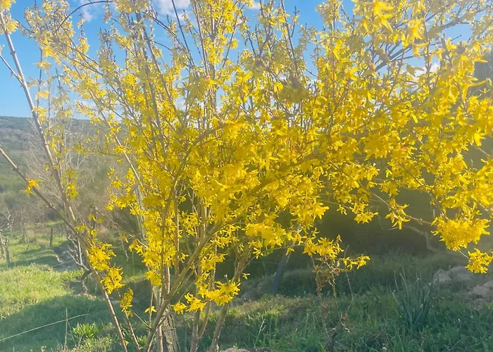 Casa Da Burra Vakantiehuis